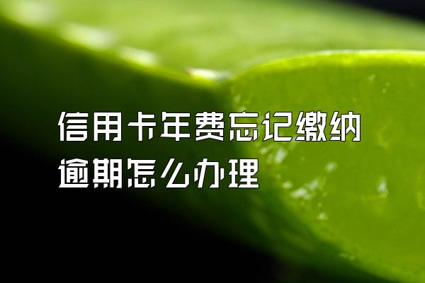 信用卡年费忘记缴纳逾期怎么办理