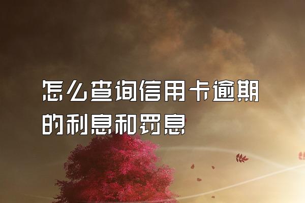 怎么查询信用卡逾期的利息和罚息