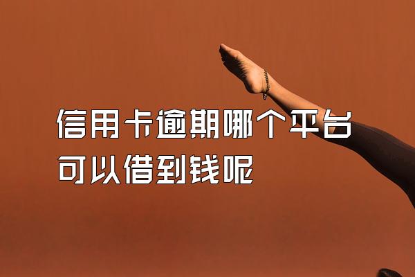 信用卡逾期哪个平台可以借到钱呢