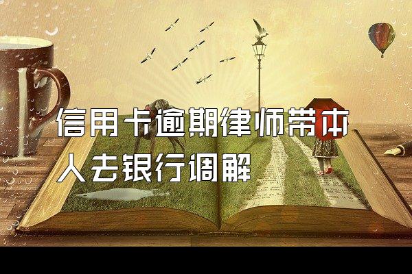 信用卡逾期律师带本人去银行调解