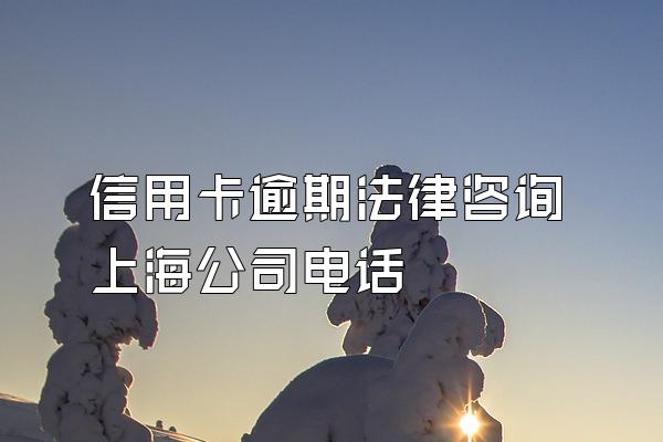 信用卡逾期法律咨询上海公司电话