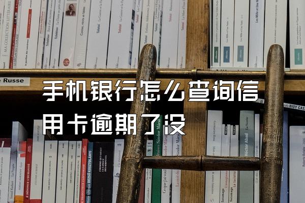 手机银行怎么查询信用卡逾期了没