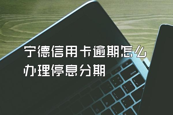 宁德信用卡逾期怎么办理停息分期