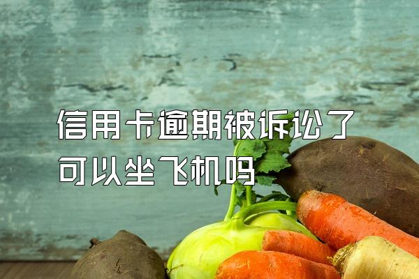 信用卡逾期被诉讼了可以坐飞机吗