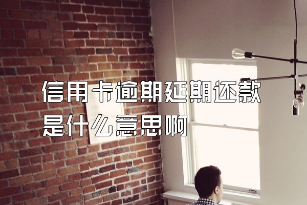 信用卡逾期延期还款是什么意思啊