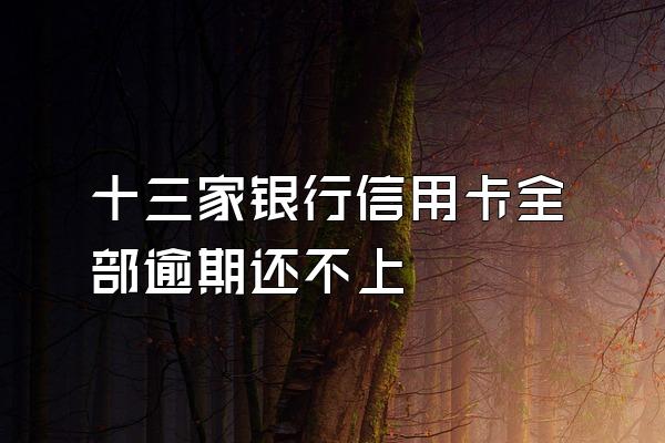 十三家银行信用卡全部逾期还不上