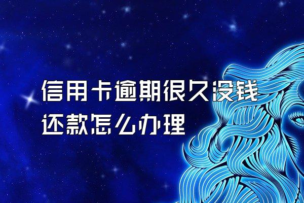 信用卡逾期很久没钱还款怎么办理