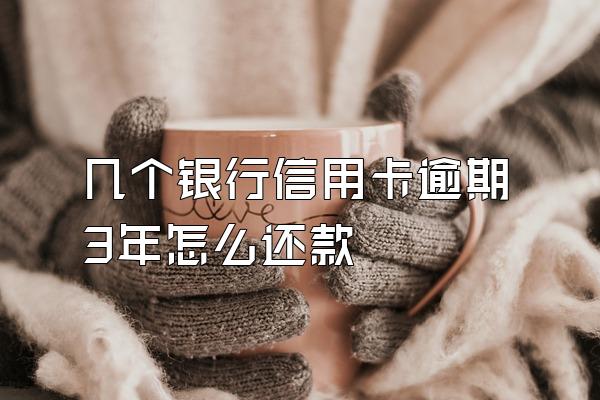 几个银行信用卡逾期3年怎么还款