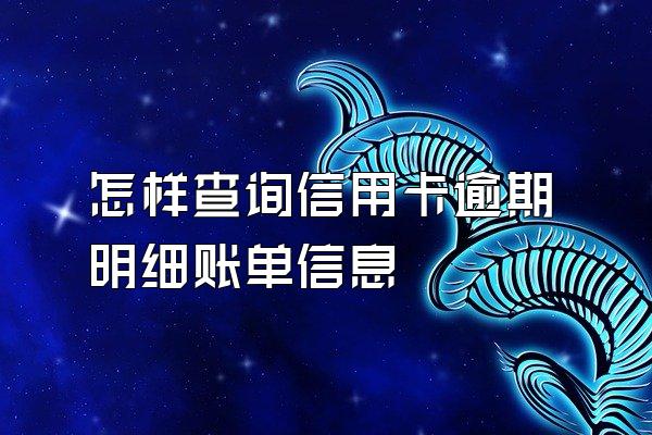 怎样查询信用卡逾期明细账单信息