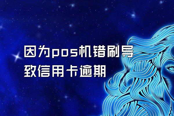 因为pos机错刷导致信用卡逾期