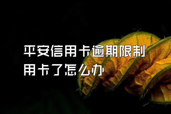 平安信用卡逾期限制用卡了怎么办