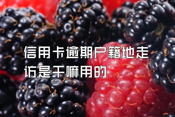 信用卡逾期户籍地走访是干嘛用的