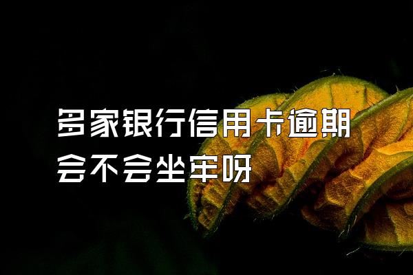 多家银行信用卡逾期会不会坐牢呀