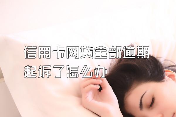 信用卡网贷全部逾期起诉了怎么办