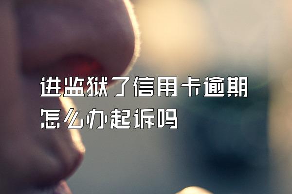 进监狱了信用卡逾期怎么办起诉吗