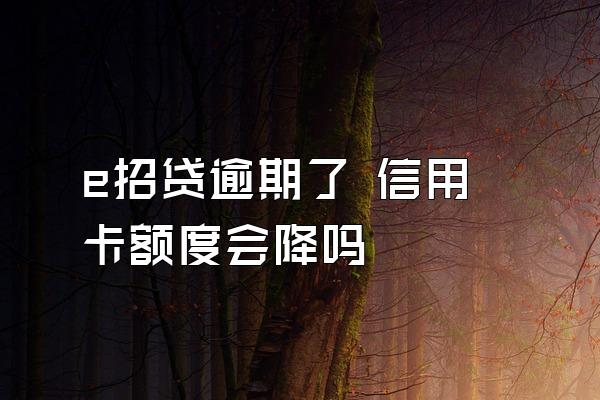 e招贷逾期了 信用卡额度会降吗