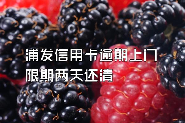浦发信用卡逾期上门限期两天还清