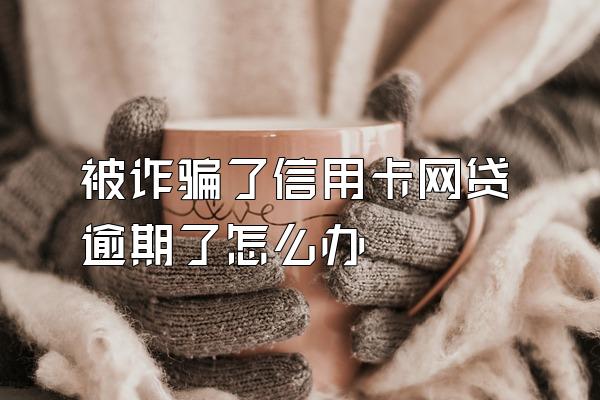 被诈骗了信用卡网贷逾期了怎么办