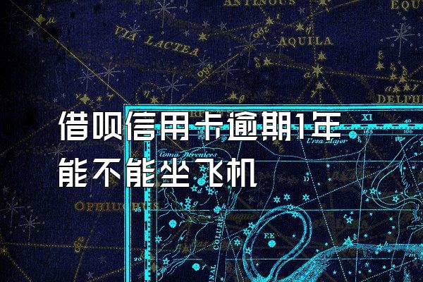 借呗信用卡逾期1年能不能坐飞机