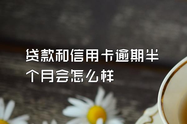 贷款和信用卡逾期半个月会怎么样