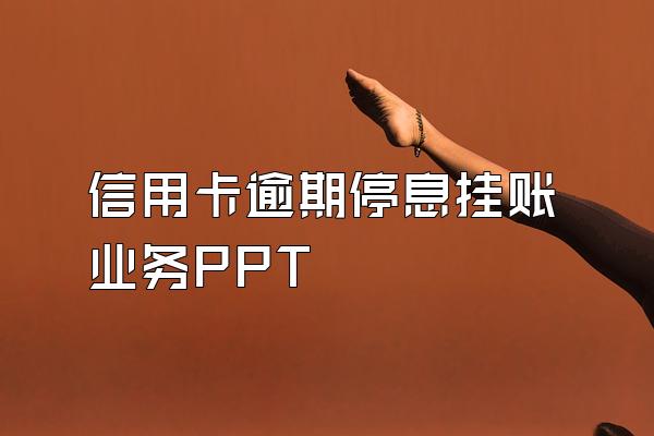 信用卡逾期停息挂账业务PPT