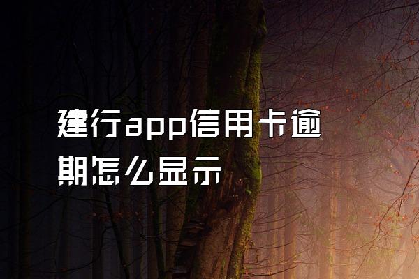 建行app信用卡逾期怎么显示