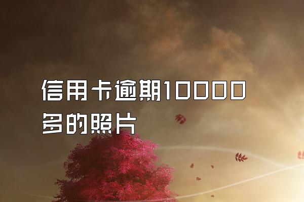 信用卡逾期10000多的照片