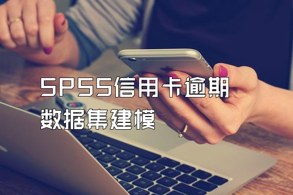 SPSS信用卡逾期数据集建模