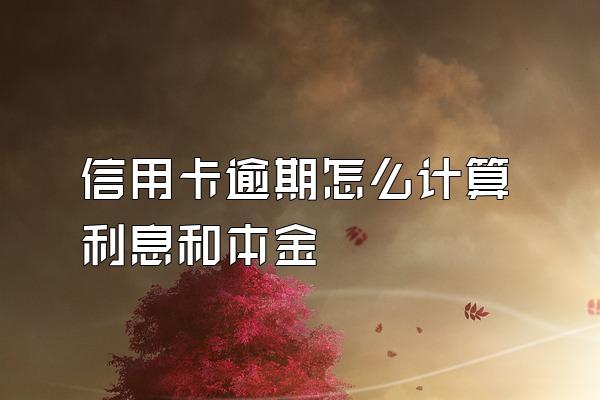 信用卡逾期怎么计算利息和本金