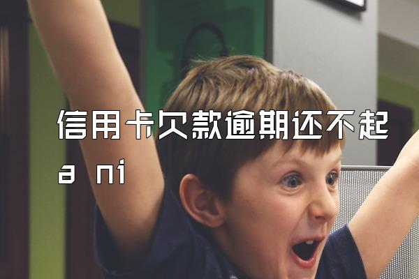 信用卡欠款逾期还不起a ni