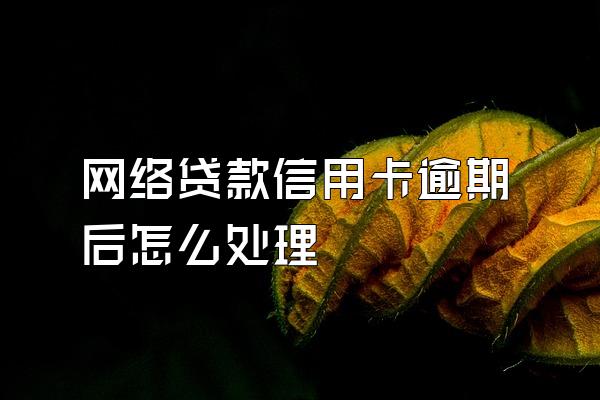 网络贷款信用卡逾期后怎么处理