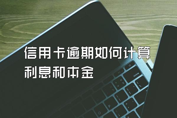 信用卡逾期如何计算利息和本金