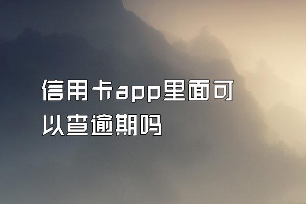 信用卡app里面可以查逾期吗