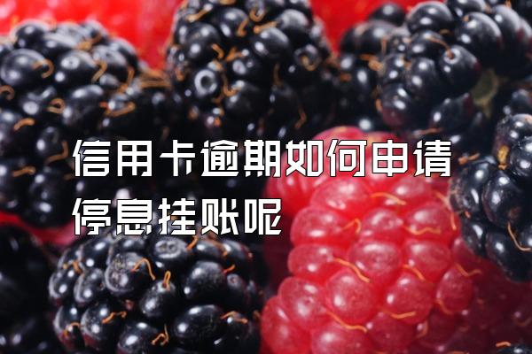 信用卡逾期如何申请停息挂账呢