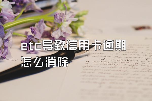 etc导致信用卡逾期怎么消除