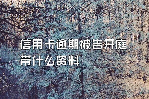 信用卡逾期被告开庭带什么资料