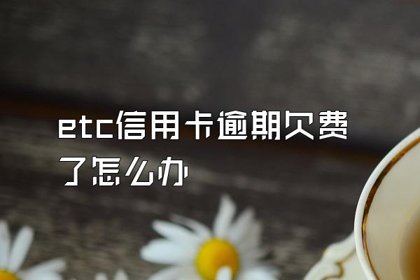 etc信用卡逾期欠费了怎么办