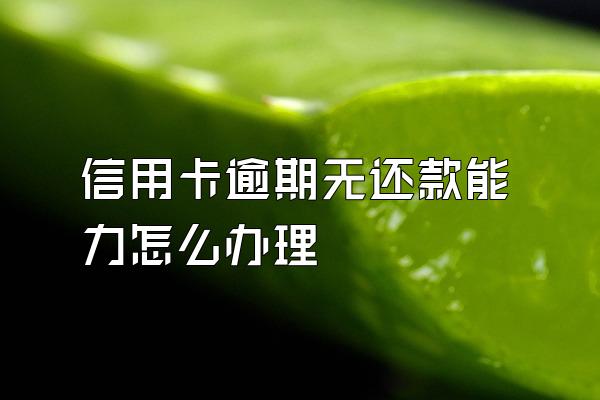 信用卡逾期无还款能力怎么办理