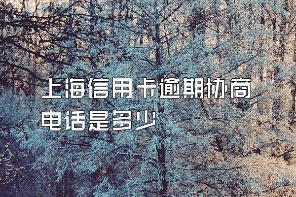上海信用卡逾期协商电话是多少