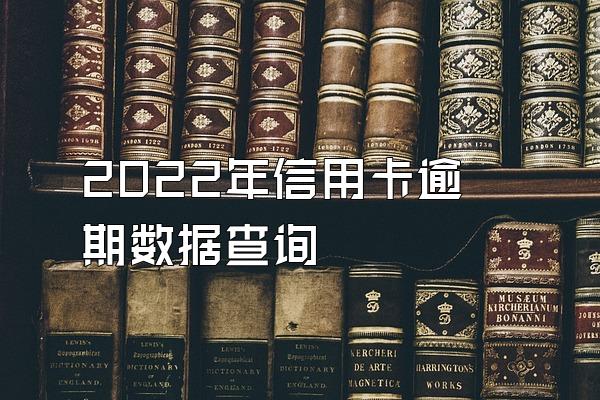 2022年信用卡逾期数据查询