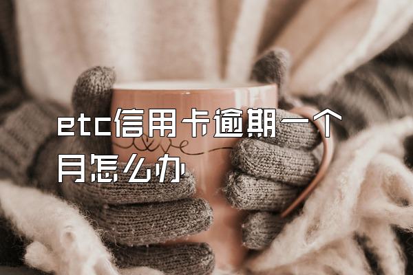 etc信用卡逾期一个月怎么办