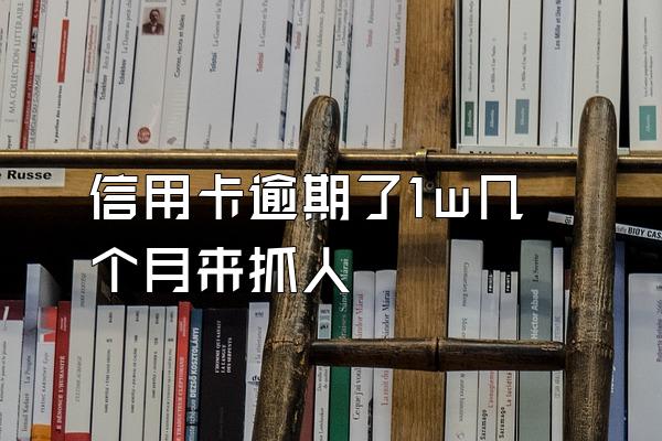 信用卡逾期了1w几个月来抓人