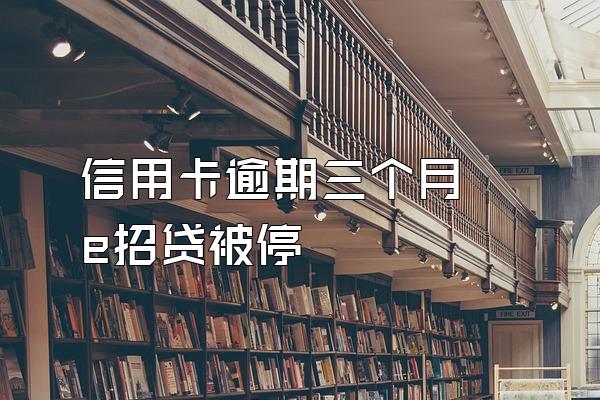 信用卡逾期三个月 e招贷被停