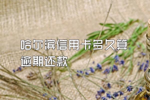 哈尔滨信用卡多久算逾期还款