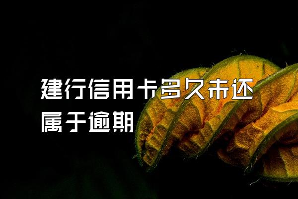 建行信用卡多久未还属于逾期