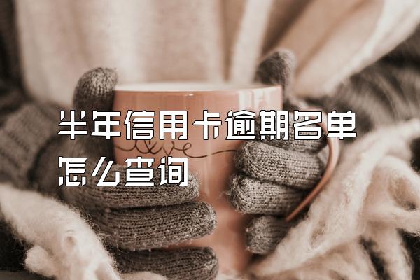 半年信用卡逾期名单怎么查询