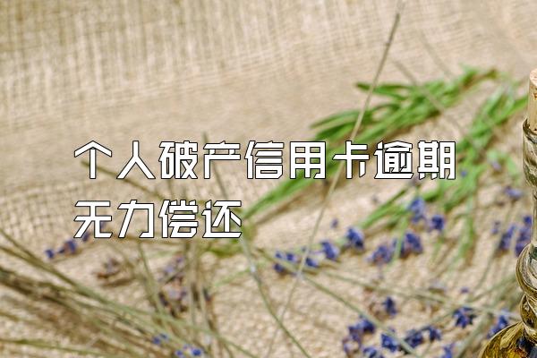 个人破产信用卡逾期无力偿还