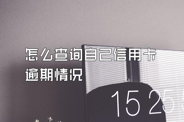 怎么查询自己信用卡逾期情况