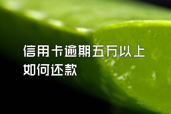 信用卡逾期五万以上如何还款