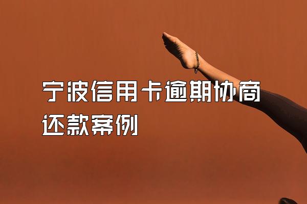 宁波信用卡逾期协商还款案例